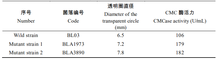 图片2 图片2