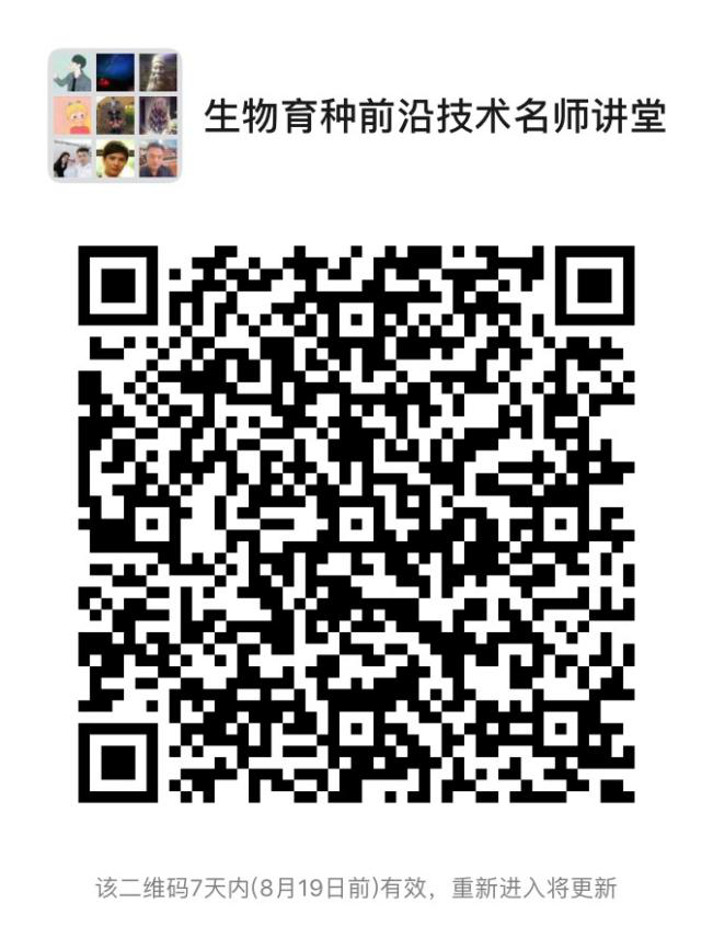 群 群
